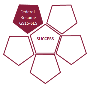 Platinum Federal Resume