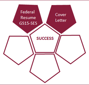 Platinum Federal Career Boost