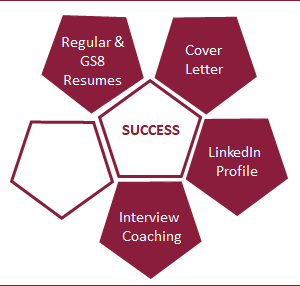 Silver Professional Career Accelerator Flex